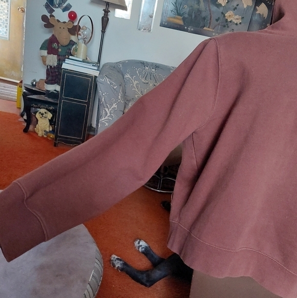 Vintage Walt Disney World Chocolate Brown Hoodie. Youth Size M - Picture 5 of 13